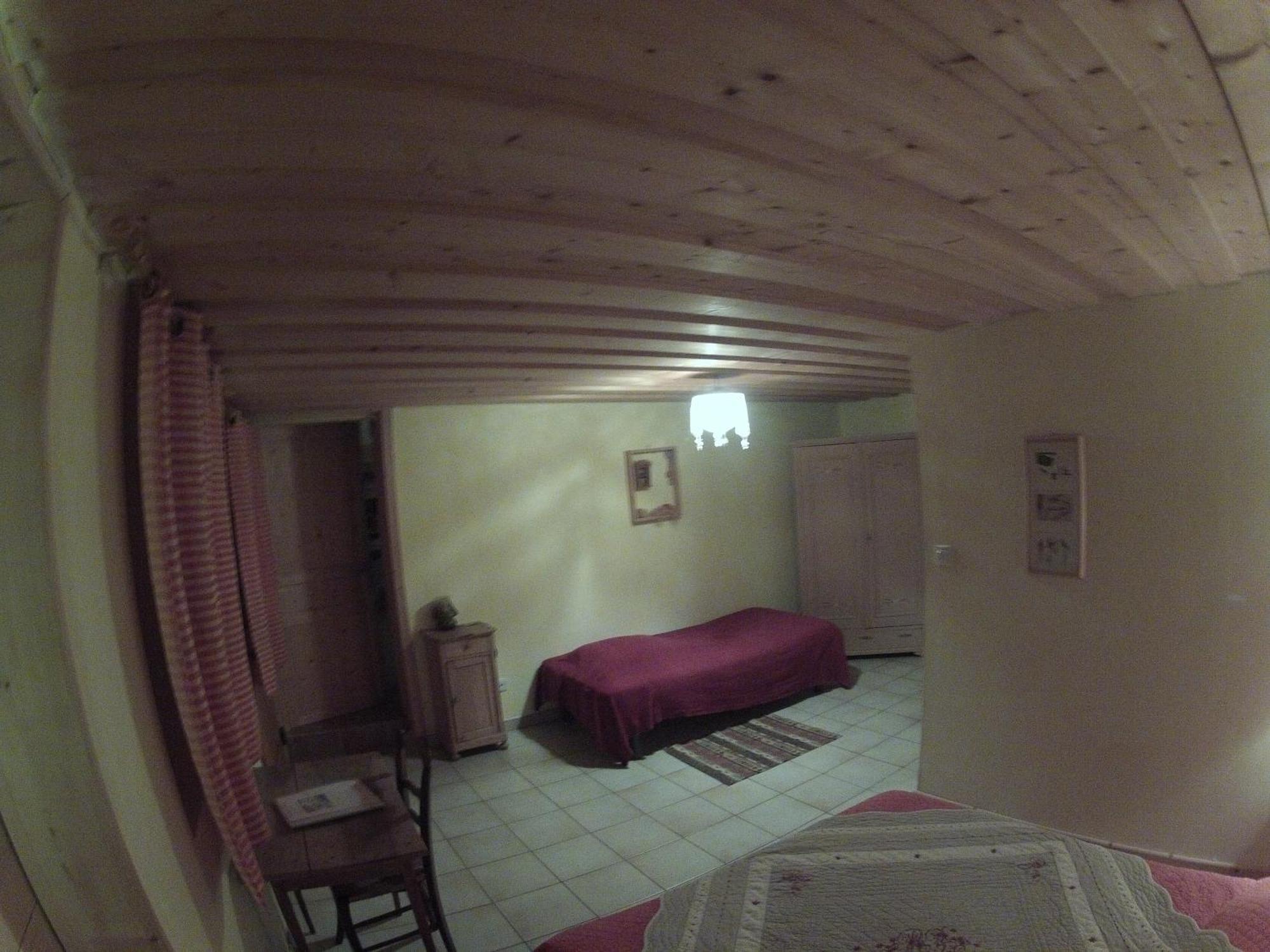 Che'Val D'Amour Ecleux Quarto foto